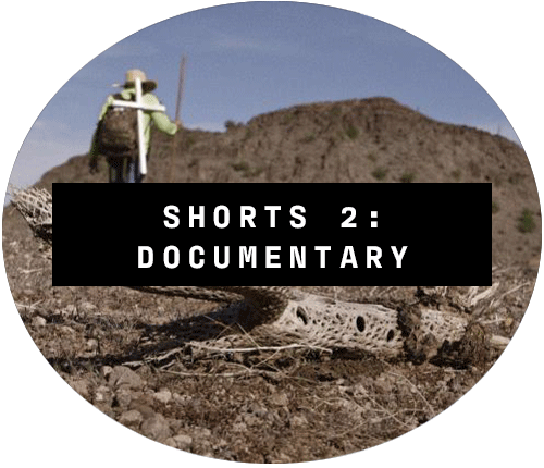 SHORTS 2: DOCUMENTARY